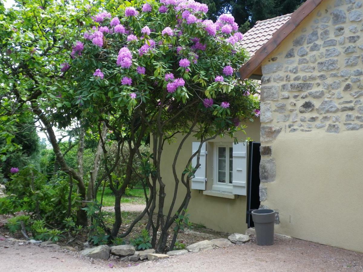 Le Cedre Enchante La Guiche ภายนอก รูปภาพ