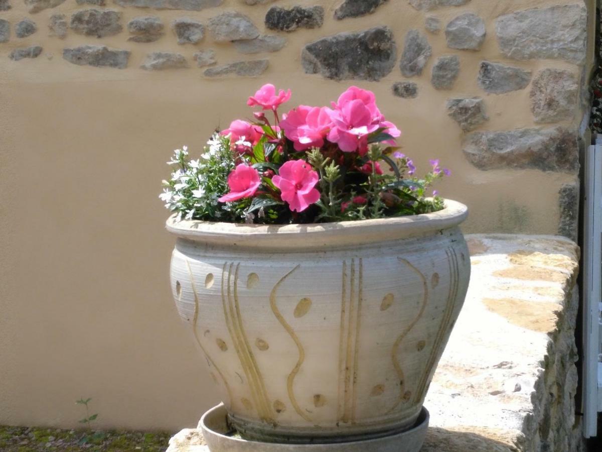 Le Cedre Enchante La Guiche ภายนอก รูปภาพ
