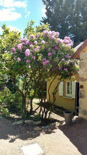 Le Cedre Enchante La Guiche ภายนอก รูปภาพ